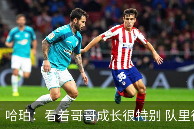 哈珀：看着哥哥成长很特别 队里很多老将帮我站稳脚跟